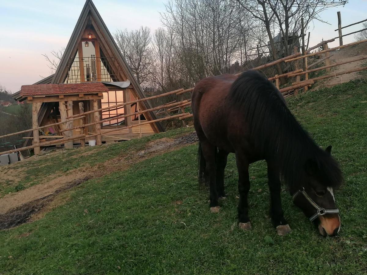 Affittacamere Ranch At Geta Razgorce Esterno foto