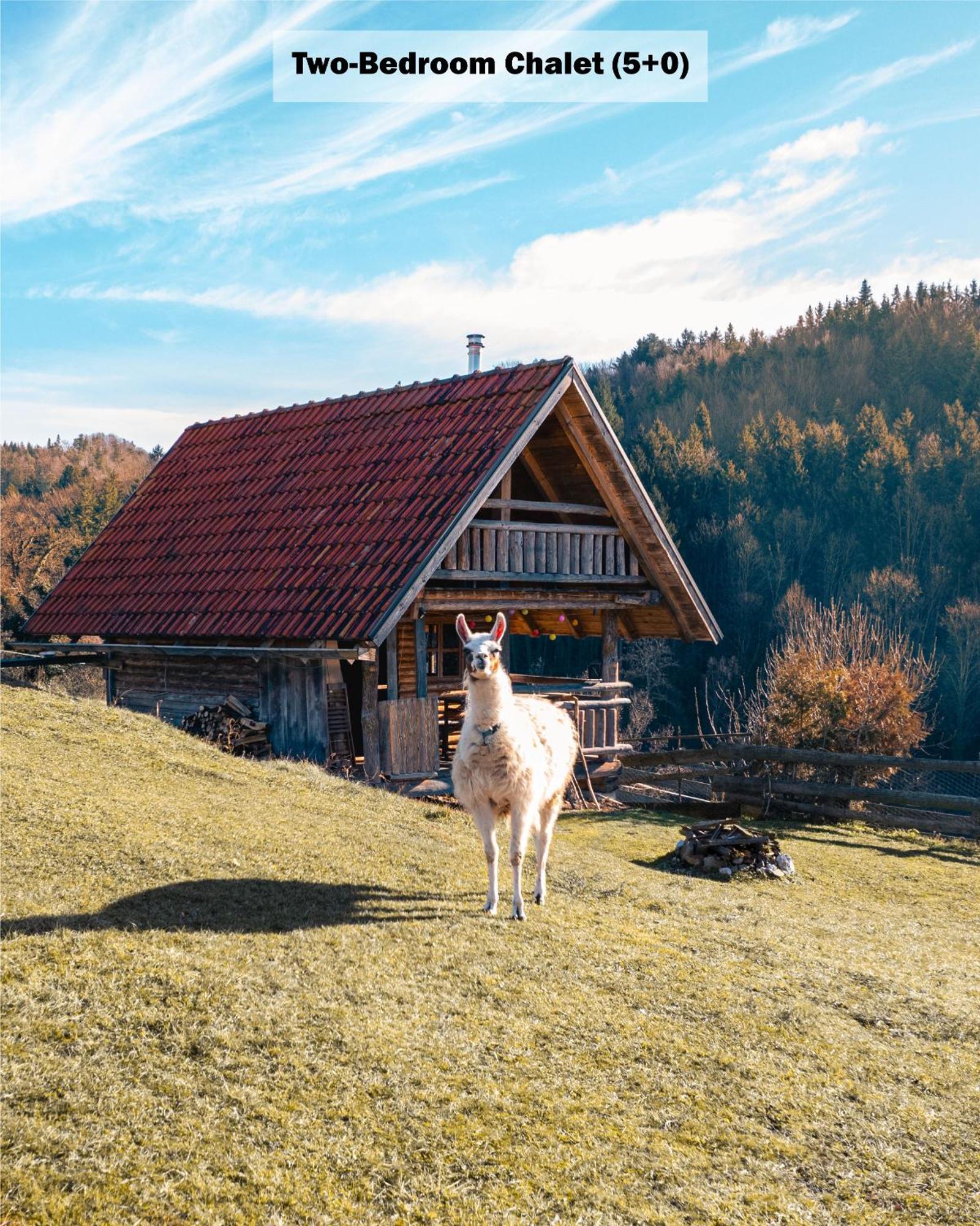Affittacamere Ranch At Geta Razgorce Camera foto